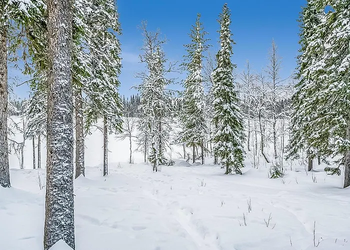 Seitsemaen Savua 3 By Interhome Loma-asunnot Ruka